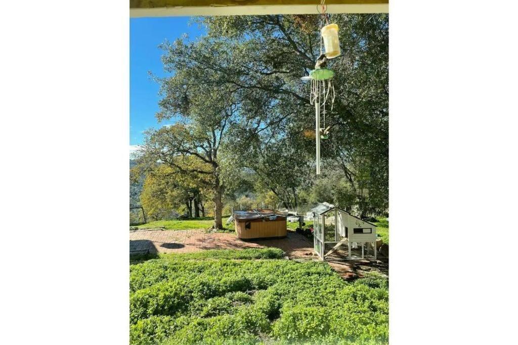Raymond Haven Ranch Bass Lake Yosemite エクステリア 写真
